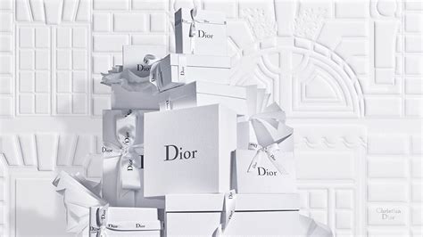 christian dior official website usa.